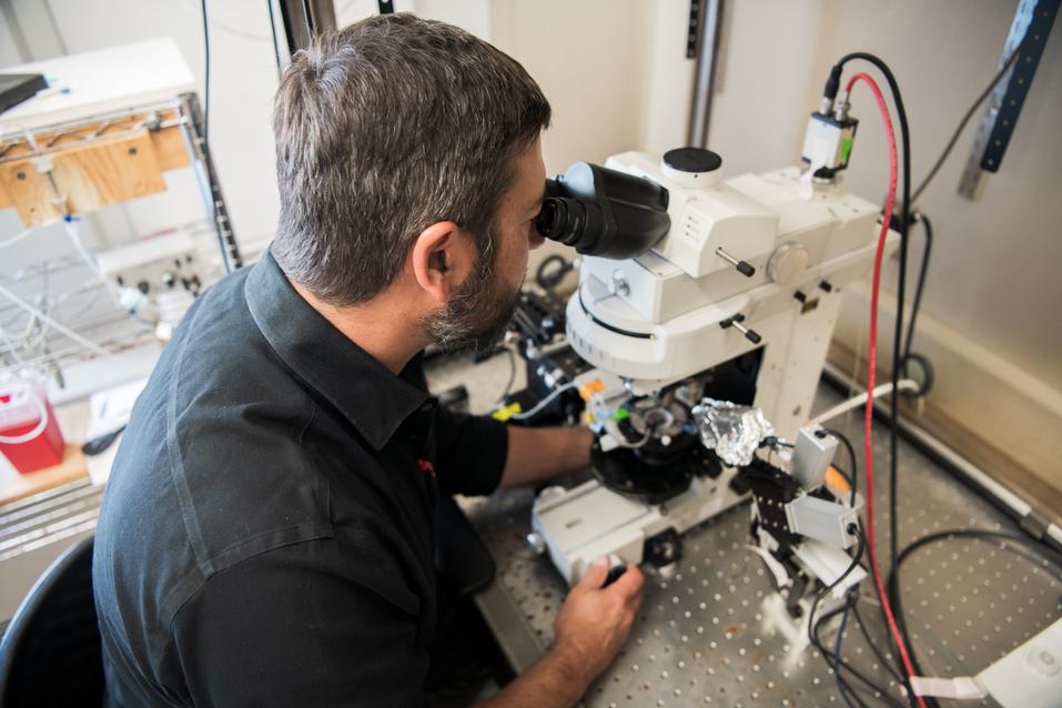 Michael Burger, Professor of Biological Sciences at Lehigh university